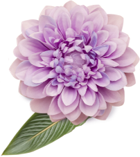 flower_1_5